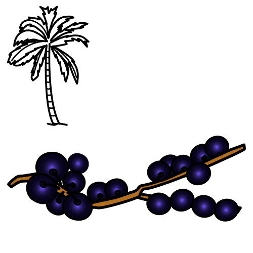 Açaí